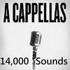 Thumbnail A cappella Vocal Samples & Tracks 14,000 total House Soul dN Thumbnail A cappella Vocal Samples & Tracks 14,000 total House Soul dN