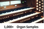 Thumbnail Organ Loops Instrument Samples Hits One Shot Sounds Chords P